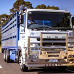 Trophy truck, sheep and photography!